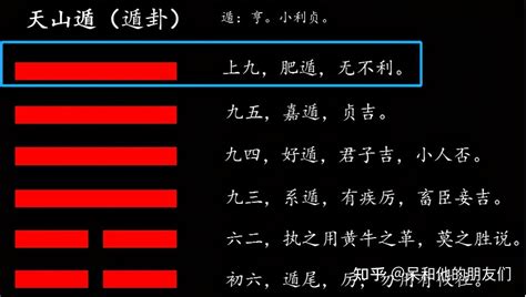 看卦|周易六爻卦入门步骤及方法完整版详解